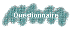 Questionnaire
